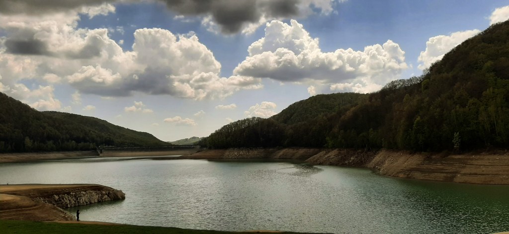 Impromptu Vegan Picnic Pickings