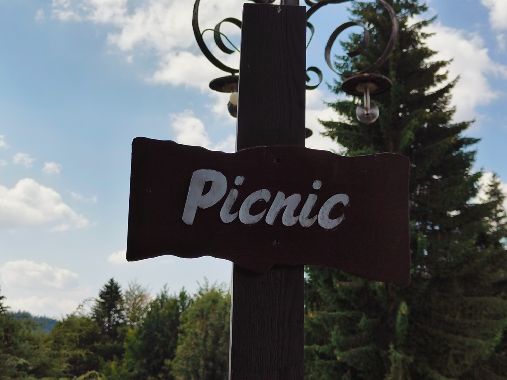 Partners in Crime, Mountains & a Vegan Picnic